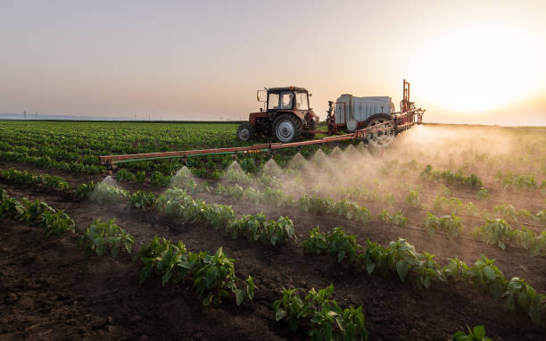Professional Pest Control in Hondo, TX