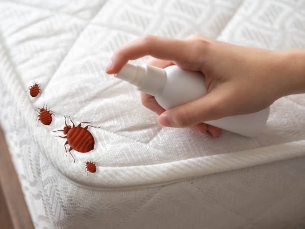 Best Commercial Pest Control Services  in Hondo, TX