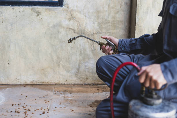 Best Emergency Pest Control  in Hondo, TX