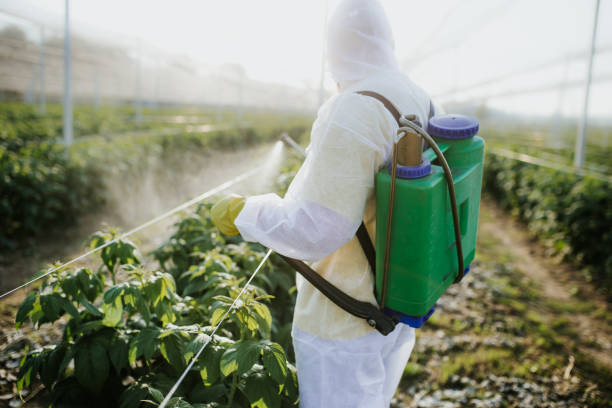 Best Pest Removal Services  in Hondo, TX